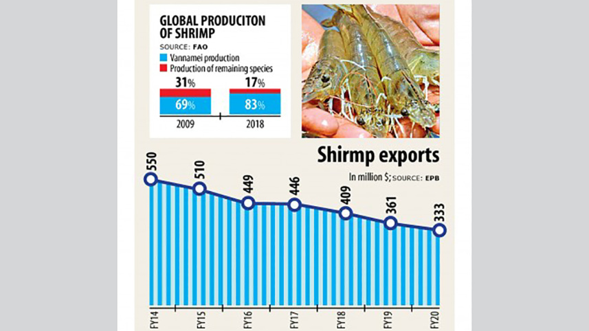 shrimp-exporters.jpg