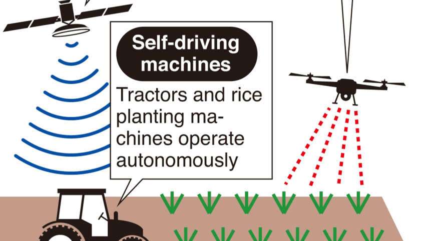 smart-farming-graphic-ann-wb.jpg
