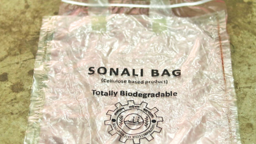 sonali_bag2.jpg