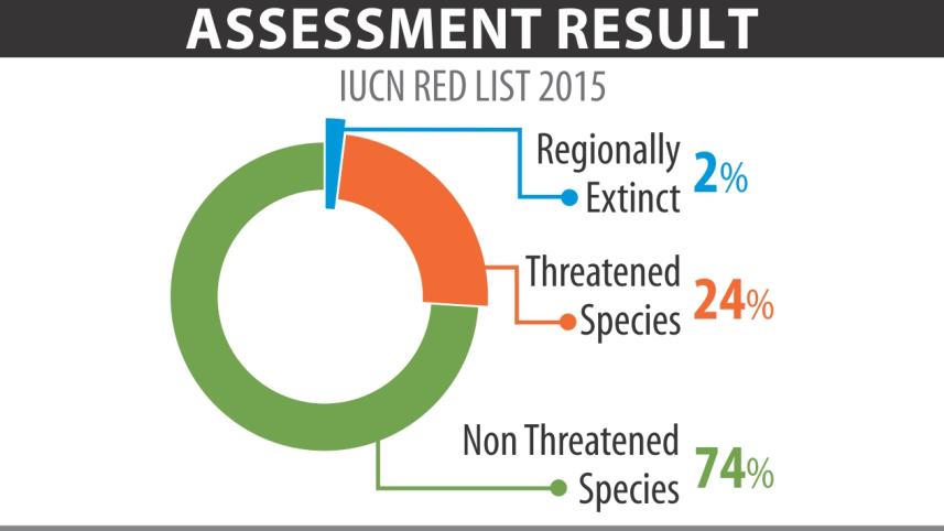 species infograph.jpg