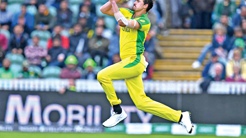 starc_1.jpg