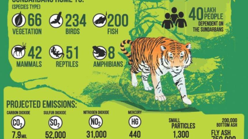 sundarban-threat 02.jpg