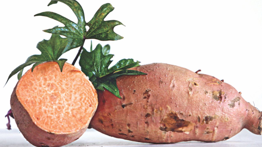 sweet_potato.jpg