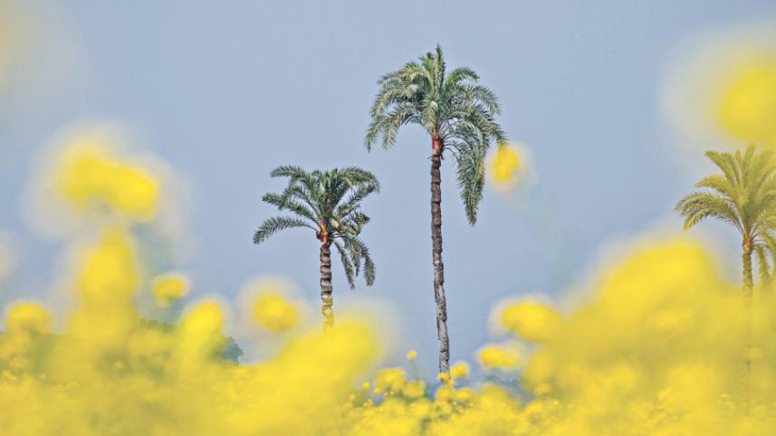 Sweet Winter Mornings 9.jpg