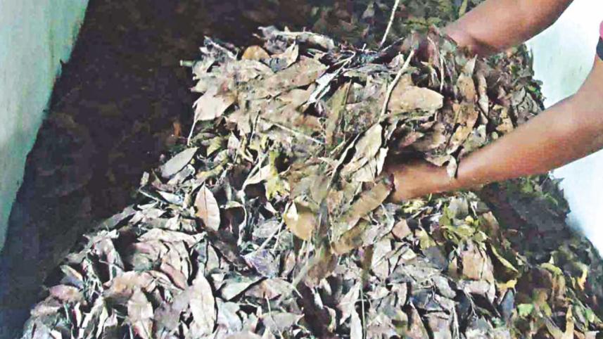 sylhet tea garden 7.jpg