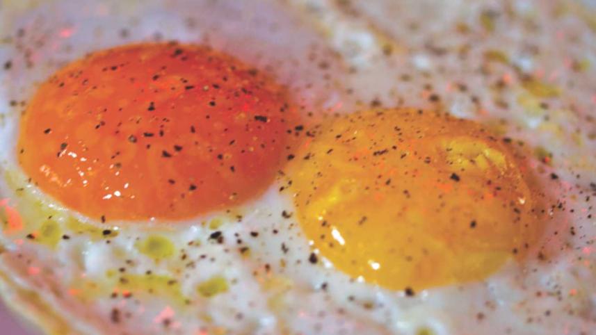 The Eggcellent Adventure