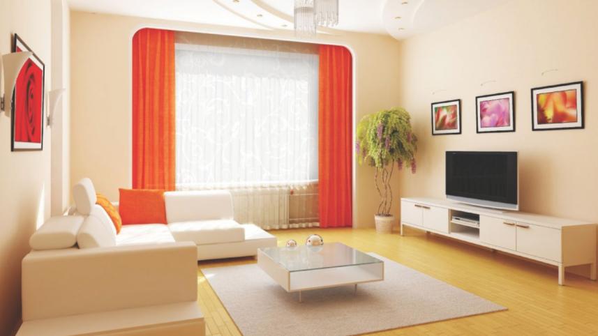 The Flat Screen Television