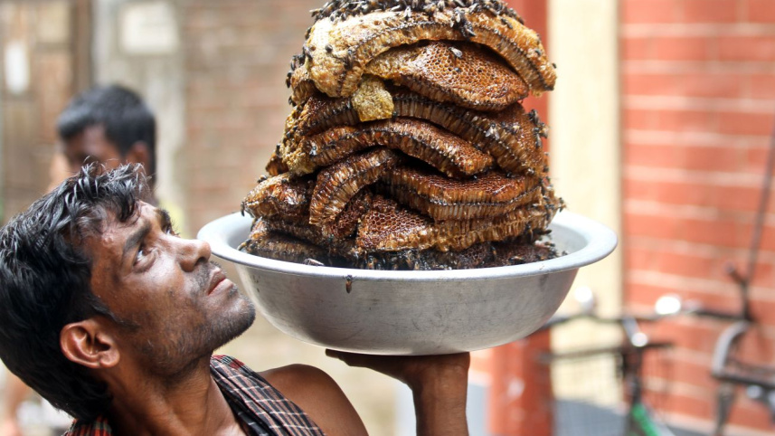 The honey collectors