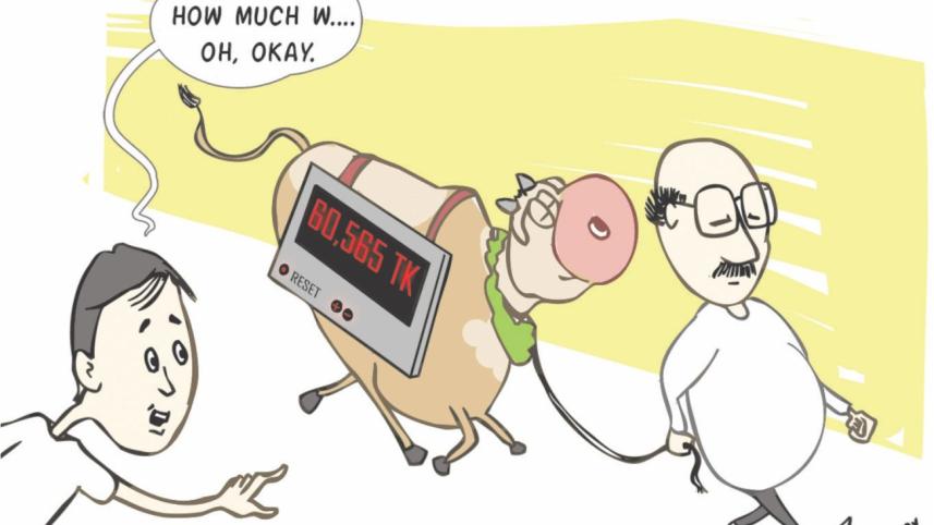 The new wave in Qurbani