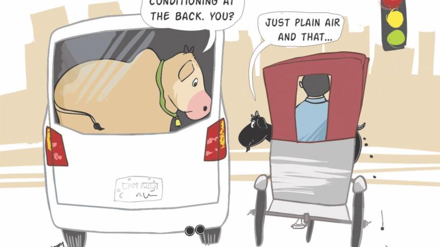 The new wave in Qurbani