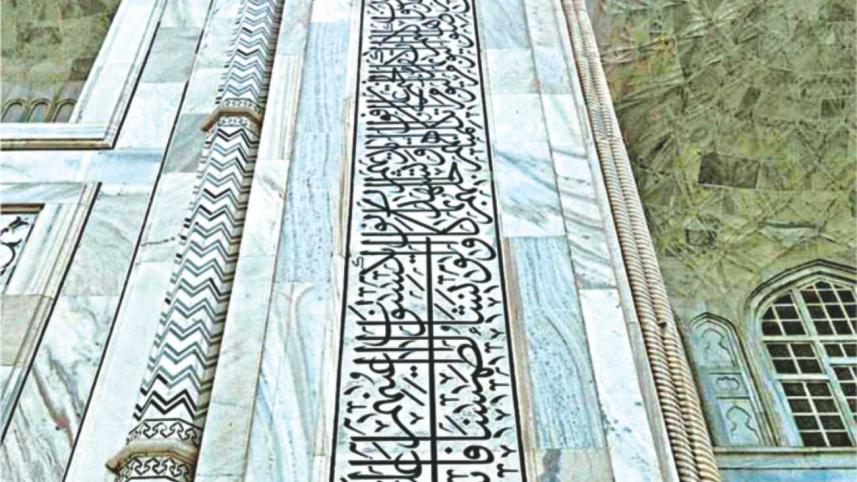 The Trip of a Lifetime