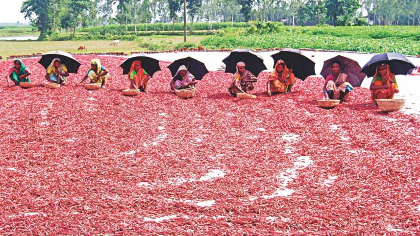 time_to_value_womens_work