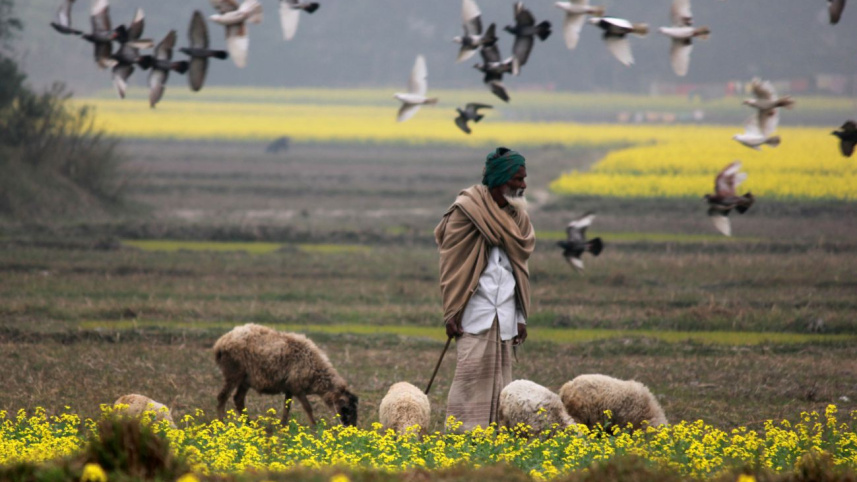 To Love Wholeheartedly