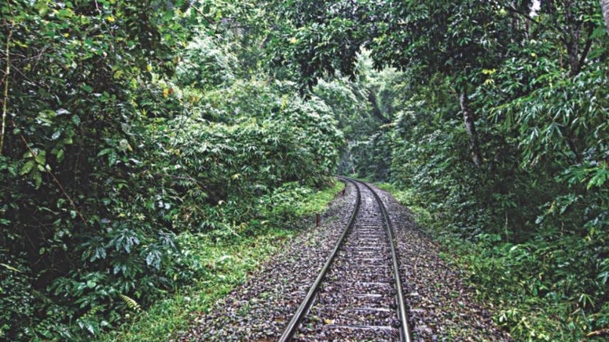 Travel in luxury or on a budget