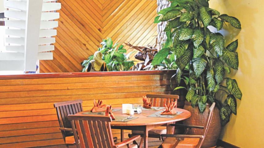 Tropical outdoor sitting