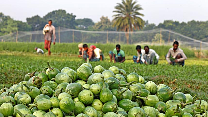 vegetable village 3.jpg