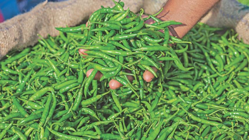 vegetable village 4.jpg