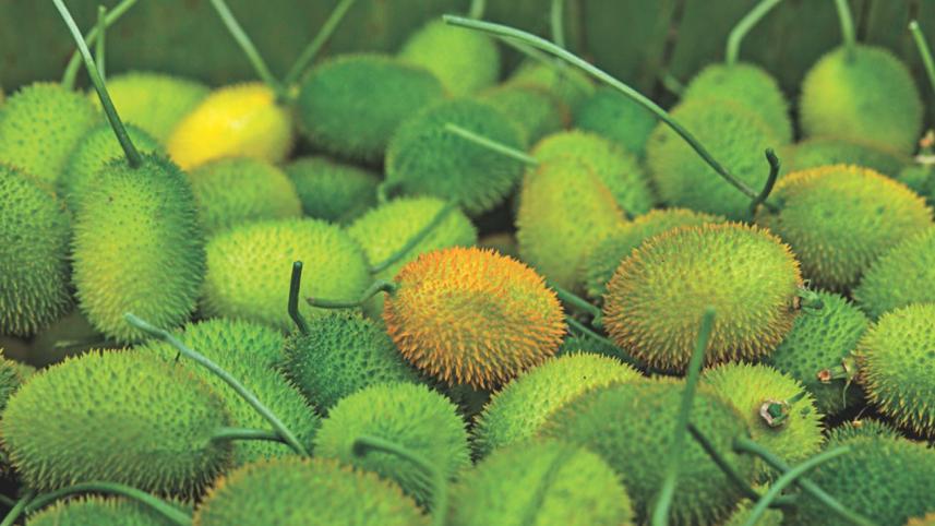 vegetable village 7.jpg