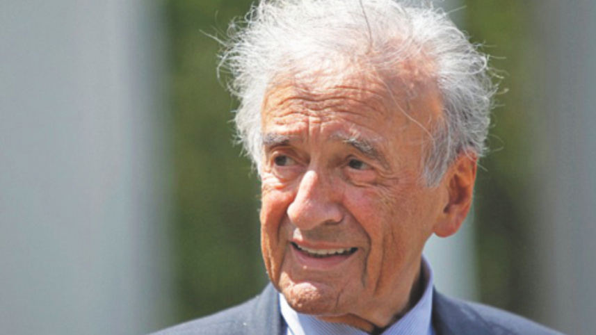 Wiesel 2.jpg