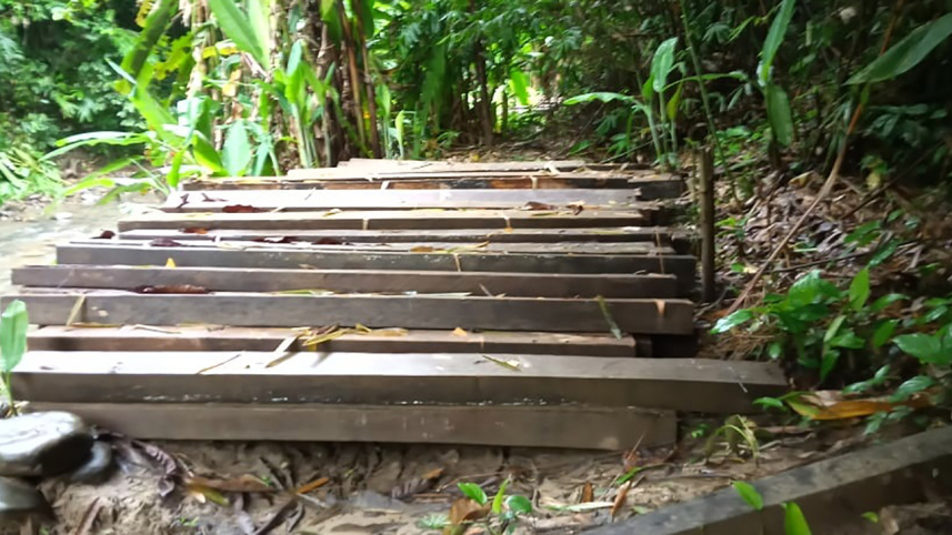 wood_smuggling_from_sangu_reserve_forest_2.jpg