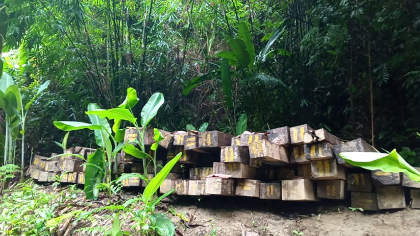 wood_smuggling_from_sangu_reserve_forest_4.jpg