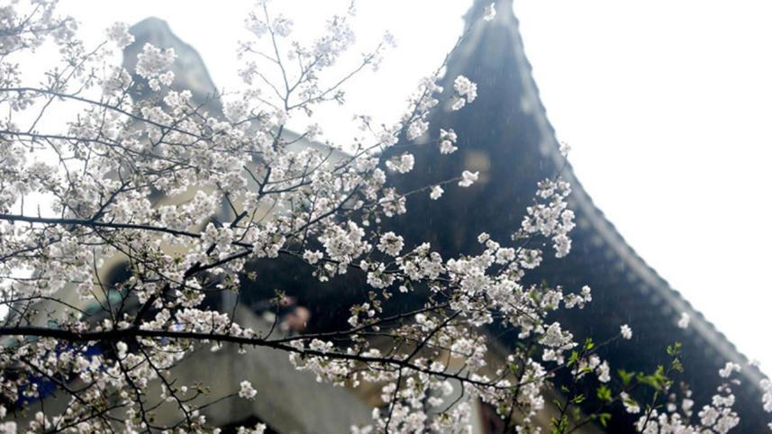 Wuhan University.jpg