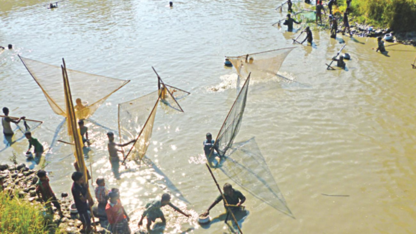 young fish