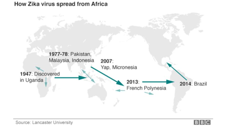 Zika-virus.jpg