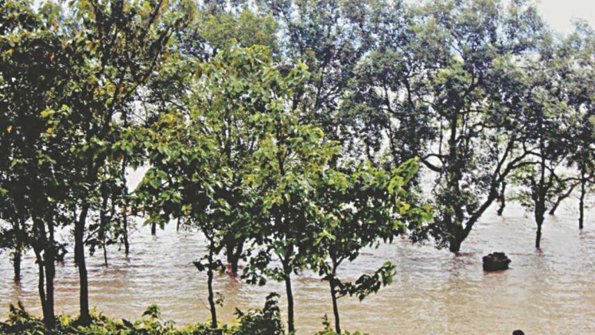 Visit Shah Porir Island and Netong