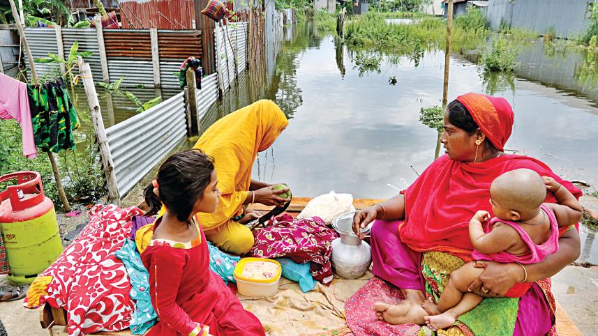 taken shelter on a road