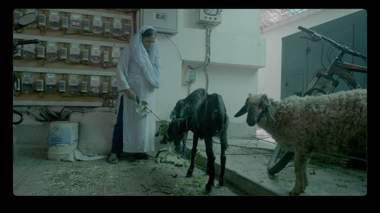 The story of an 8 million taka Lithuanian grant behind a 25 million taka film