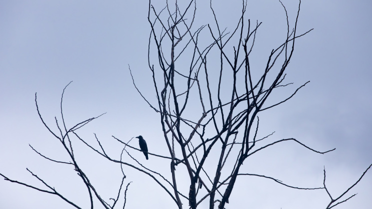 _OC_2166-Enhanced-NR copy.jpg