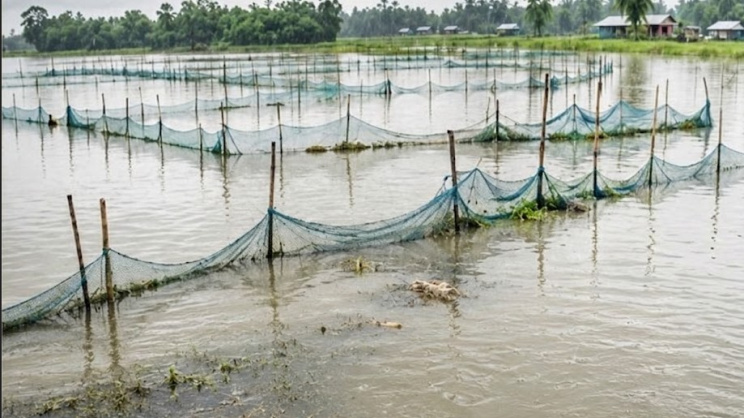Strong currents washed away fish from numerous ponds and enclosures, while fish hatcheries also suffered significant damage. Photo: Star