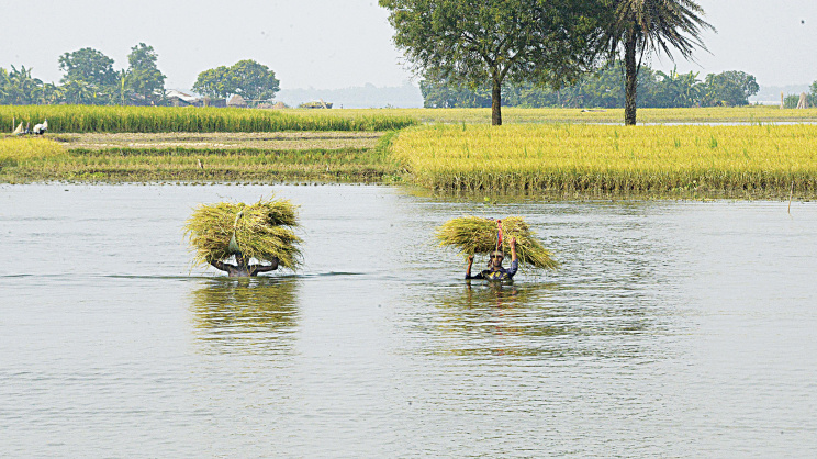 Rajshahi.jpg