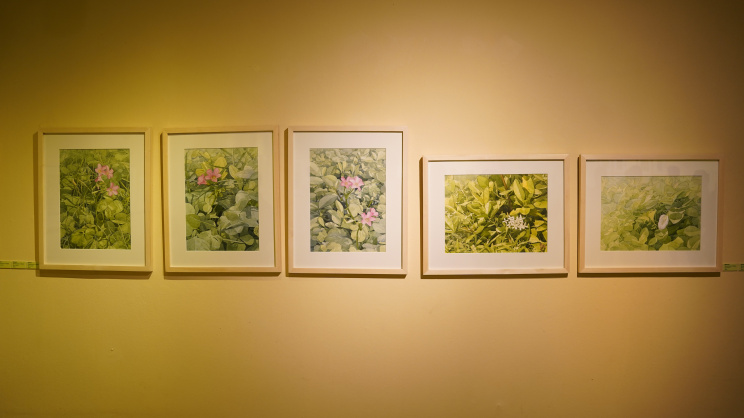 ‘Splendor of Green’: Exhibition explores the beauty of foliage in fine detail
