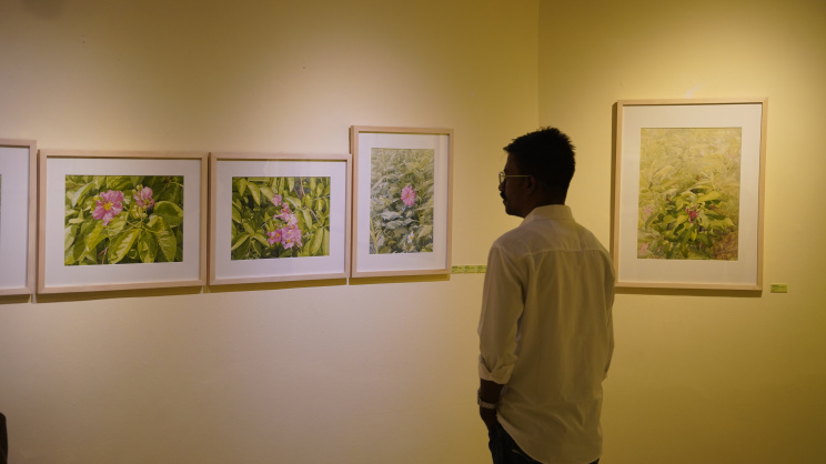 ‘Splendor of Green’: Exhibition explores the beauty of foliage in fine detail
