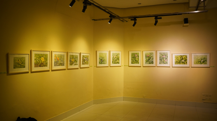 ‘Splendor of Green’: Exhibition explores the beauty of foliage in fine detail