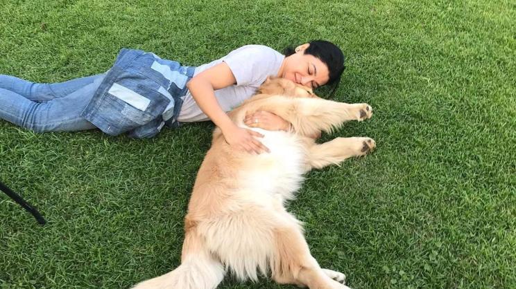 Animal abuse must stop: Jaya Ahsan