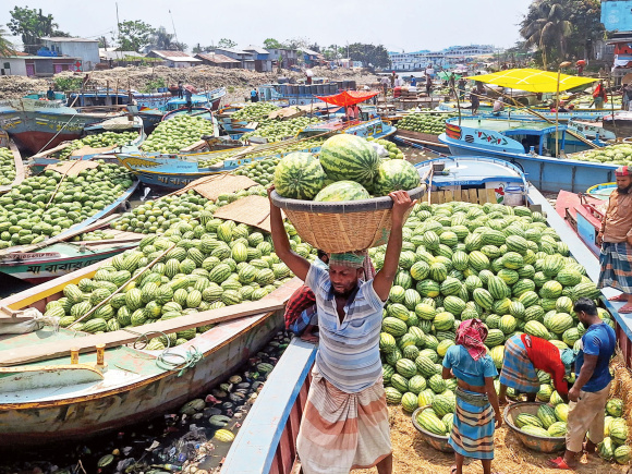 Watermelon-1.jpg