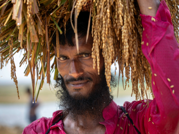 Haor crisis is becoming a national crisis