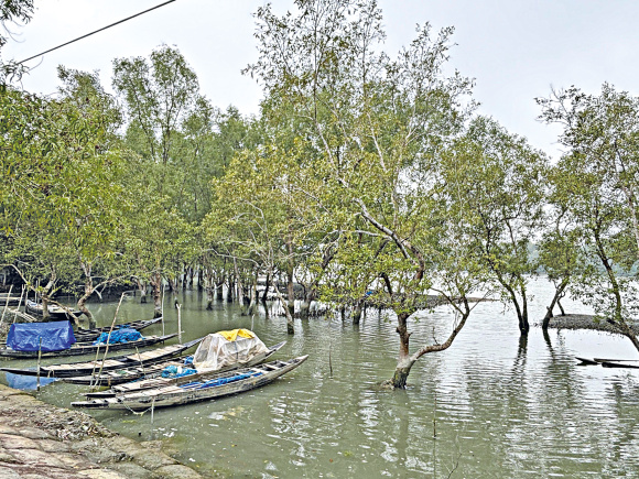 While the ban is intended to support ecological regeneration, it leaves thousands of Bonojibis..jpg
