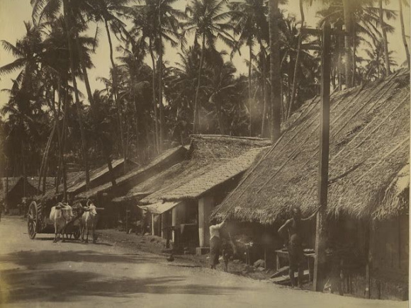 Jibanananda Das Bonolata Sen