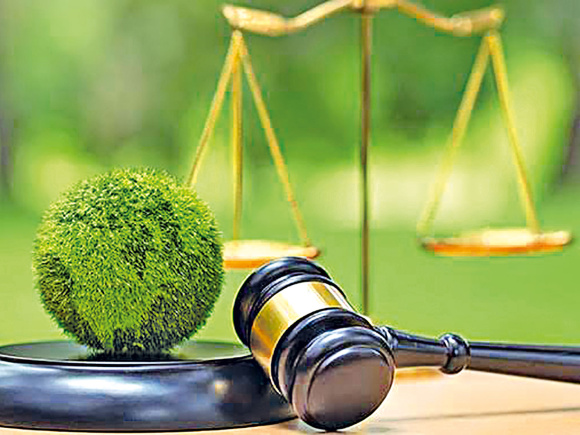 Law-Views.jpg