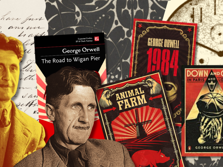 Illustrations 8 (6).png