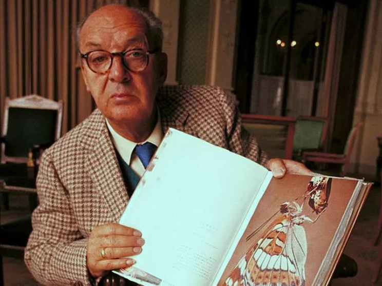 Vladimir Nabokov.jpg