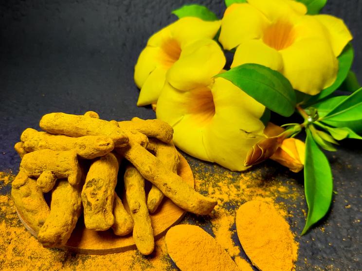 The power of Ayurveda: Fortify your immunity with natural remedies