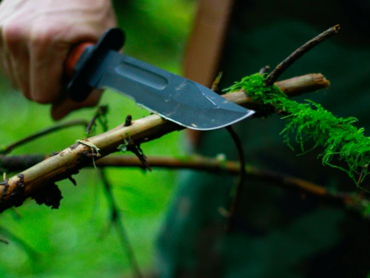 Unexpected life lessons you can learn from wilderness survival