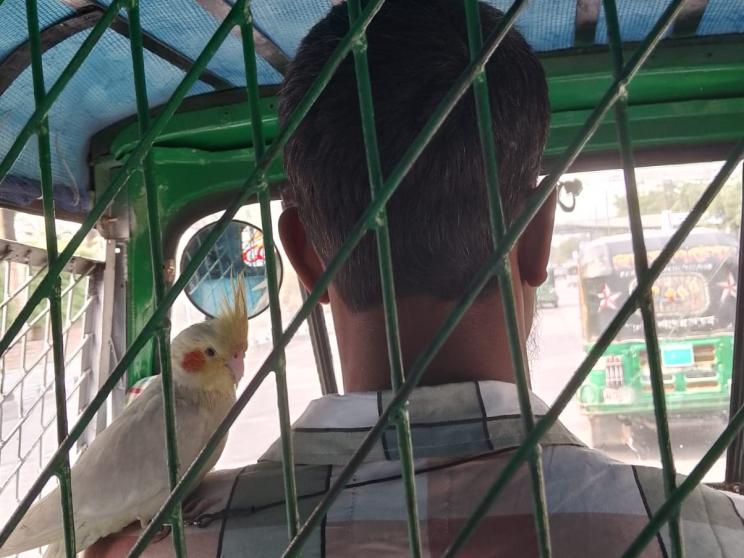 A CNG driver and Mona: A bond between two unlikely companions