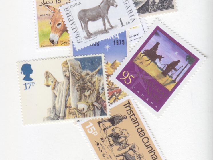 Confessions of a donkey enthusiast 