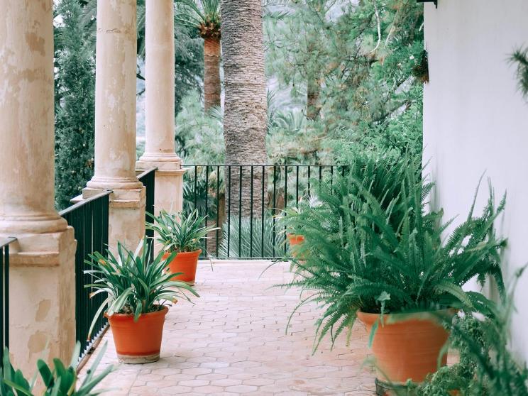 Tiny balcony? No problem! Here’s how to maximize your space